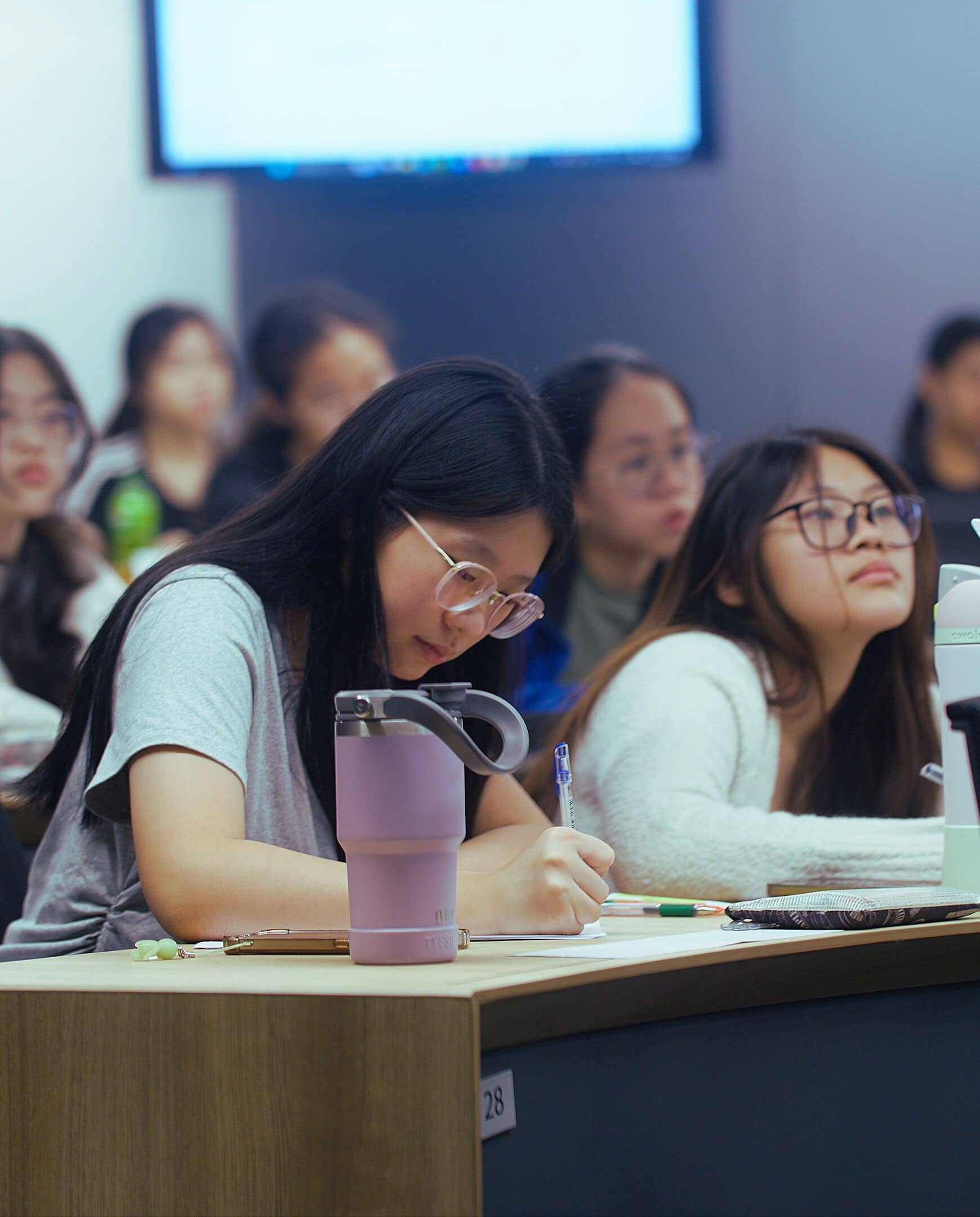 Consultations at Lyceum Education - intro 2